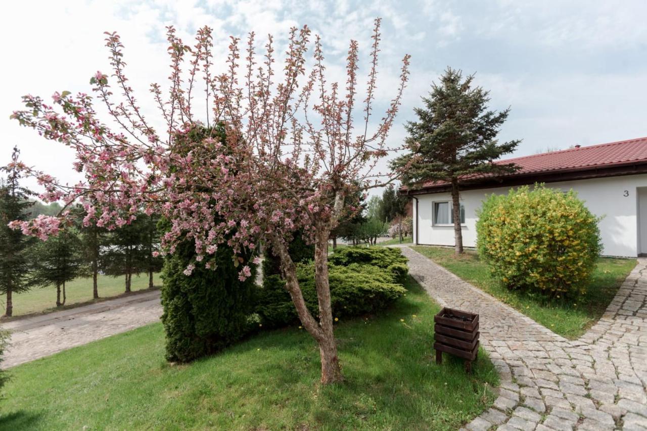 Krzywoploty  Petrico Camp Resort מראה חיצוני תמונה